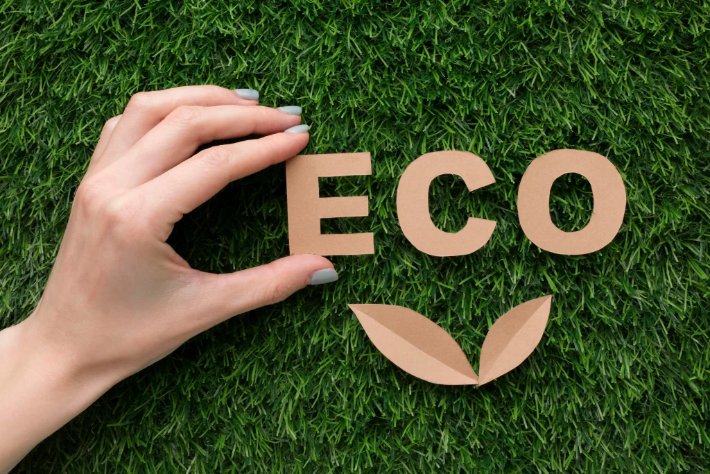 Conception web durable et à faible empreinte carbone : 5 actions concrètes pour les entreprises engagées